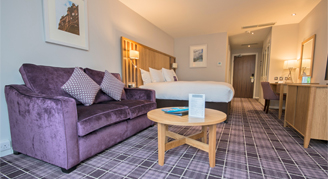 Image of the living are in a Luxury Room.