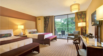 Banyan View Room with 2 double beds