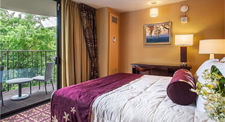 Banyan junior suite 1 bed 