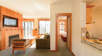 Livingroom view with kitchen, couch, and fireplace.