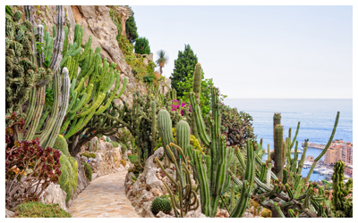 Jardin Exotique cacti overlooking the Mediterranean Sea