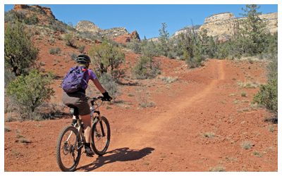 Image of a woman mountain biking uphill.