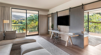 Image of a living area in a Vineyard-View Suite - One King Bed.