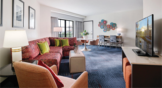 Suite - One King Bed