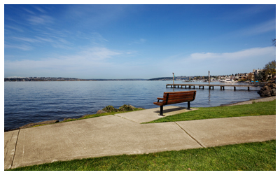 Image of a bench on a paved path overlooking Lake Washington.