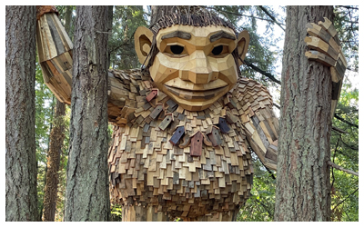 Image of the wooden troll 