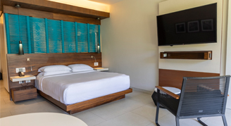 Premium Garden-View Room - One King Bed