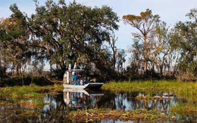 Airboat voyaging through a swamp