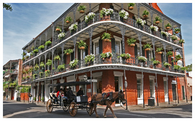 Horse drawn carriage in New Orleans French Quarter