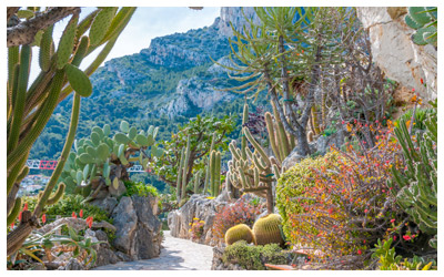 Desert Botanical Garden, Arizona