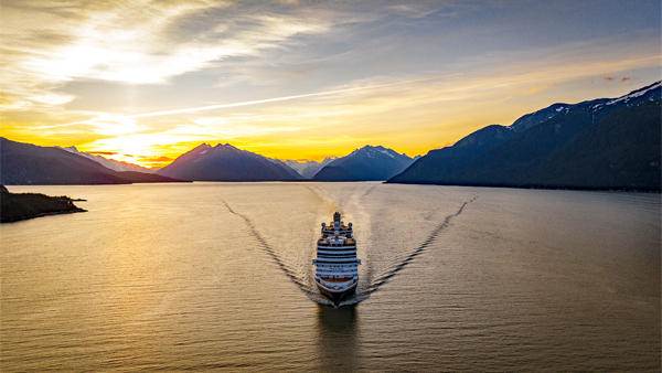 Cruise FPO 6