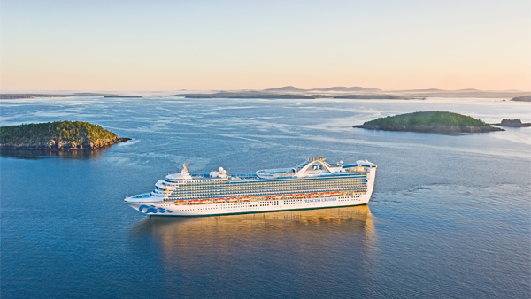Cruise FPO 6