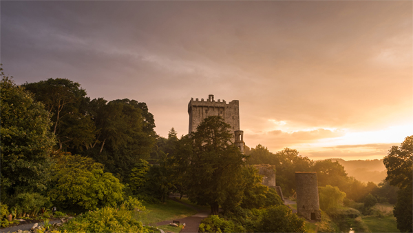 Sapphire Princess ship image