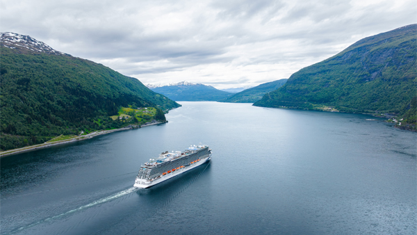 Cruise FPO 6