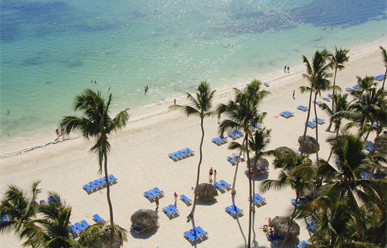 Melia Punta Cana Beach Resort - All-Inclusive image