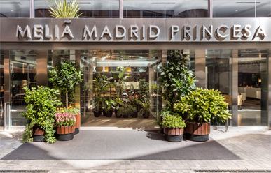 Melia Madrid Princesaimage