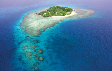 Royal Davui Island Resort image 