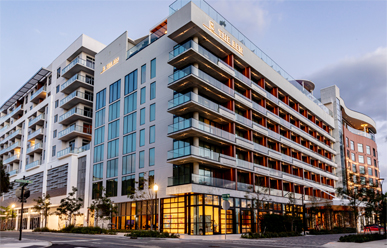 The Ben West Palm Autograph Collectionimage