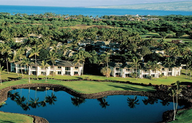 The Islands at Mauna Lani image 