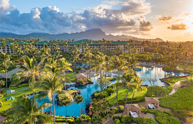 costco travel grand hyatt kauai