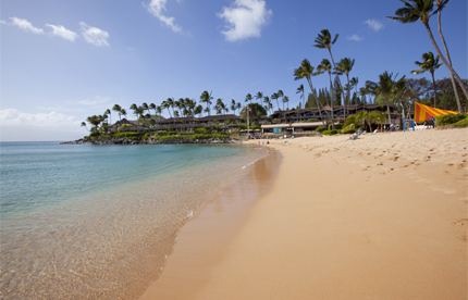 Napili Kai Beach Resort image 