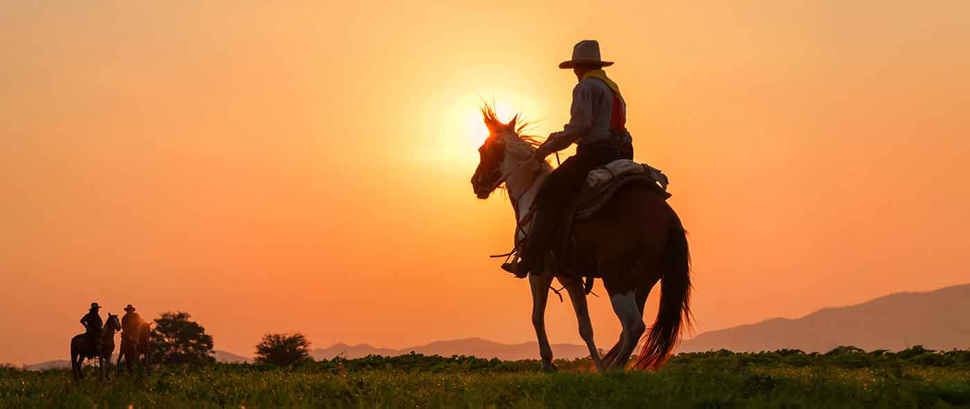 Disney Costco Travel